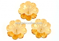 Swarovski, marguerite flower, golden shadonw, 8mm - x10