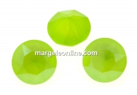 Swarovski, chaton SS29, lime, 6mm - x4