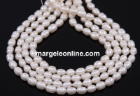 Freshwater Pearls - 6.5x5mm, white