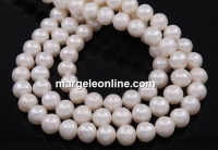 Freshwater Pearls - 10mm, white