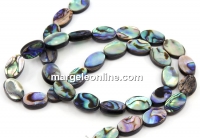 Abalone natural pearl beads, paua shell, oval, 16x12mm