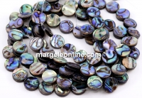 Abalone natural pearl beads, paua shell, disk, 12mm