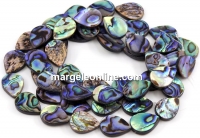 Abalone natural pearl beads, paua shell, drop, 16x12mm