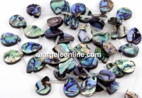 Abalone natural pearl beads, paua shell, drop, 18x13.5mm