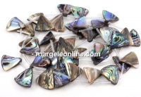 Abalone natural pearl beads, paua shell, triangle, 20x19mm