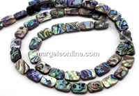 Margele sidef natural Abalone, scoica paua, dreptunghi rotunjit, 14x10mm