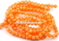 Coral pearl beads, round, 5.5mm