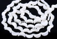 White natural mother-of-pearl beads, crescent, 13x8mm