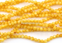 Sunflower yellow mother-of-pearl beads, round, 4mm