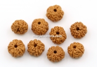 Margele rudraksha, naturale, rotund, 9-10mm - x30