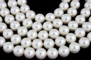 Swarovski pearl, white, 8mm - x50