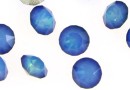 Swarovski, chaton SS39, white opal sky blue, 8mm - x2