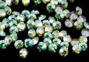 Swarovski, chaton pp21, peridot aurore boreale, 2.8mm - x20