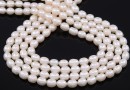 Freshwater Pearls - 7.5x6mm, white 