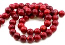 Coral beads, intense red, round, 14mm