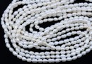 Micro oval cultured pearls, white