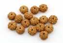 Rudraksha beads, natural, round, 8-9mm - x30